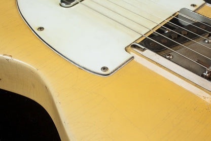 NEW Nacho Whiteguard Blonde #44188