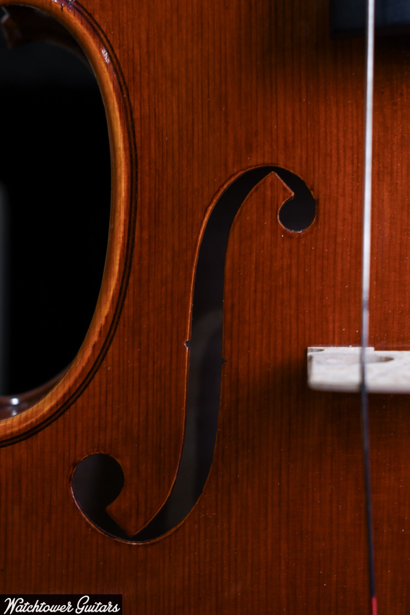 Chinese Viola