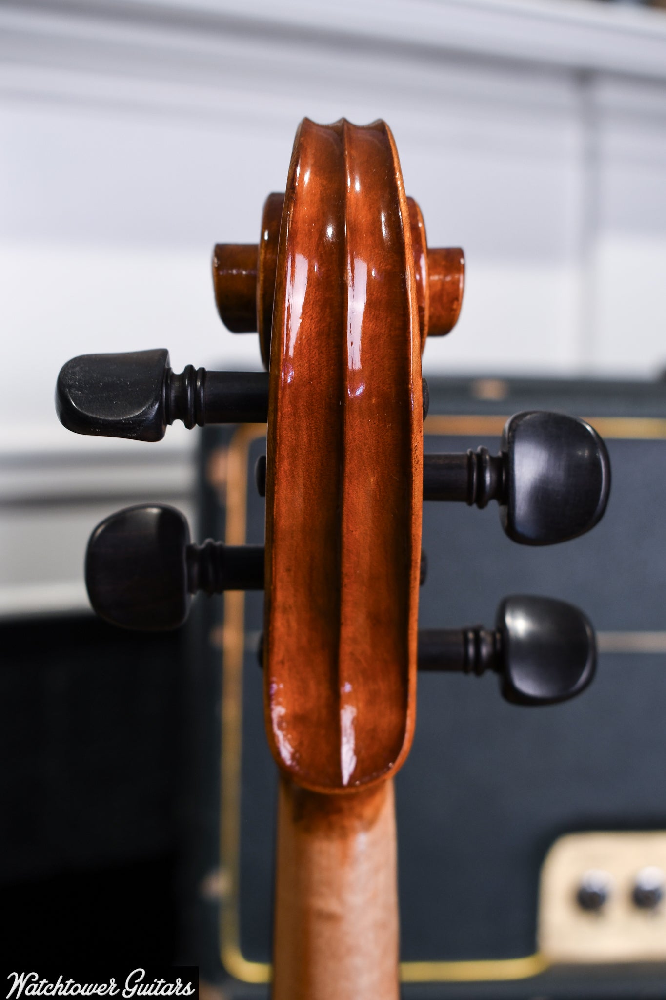 Chinese Viola