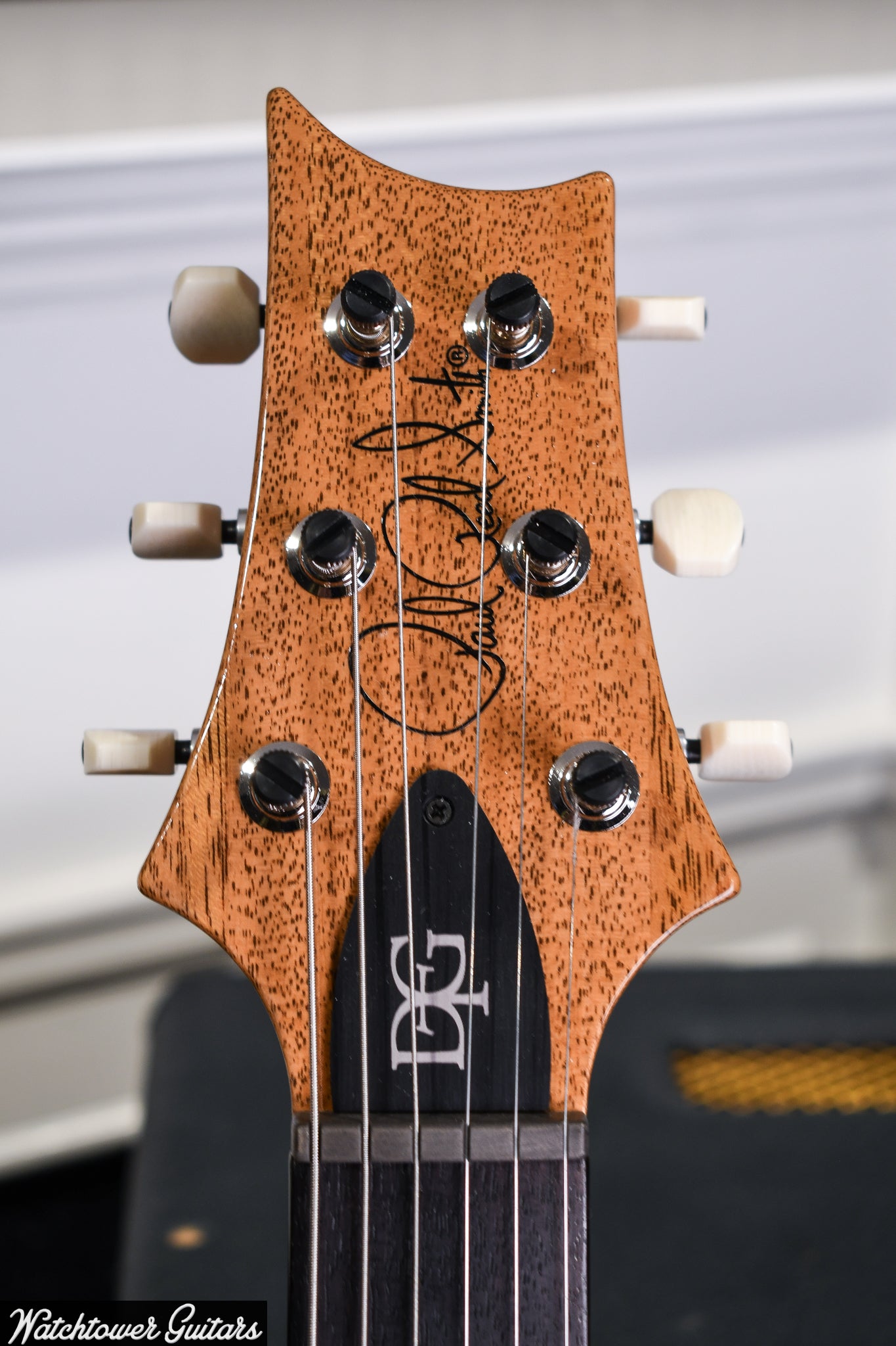 Paul Reed Smith PRS DGT Signature Faded Blue Jean