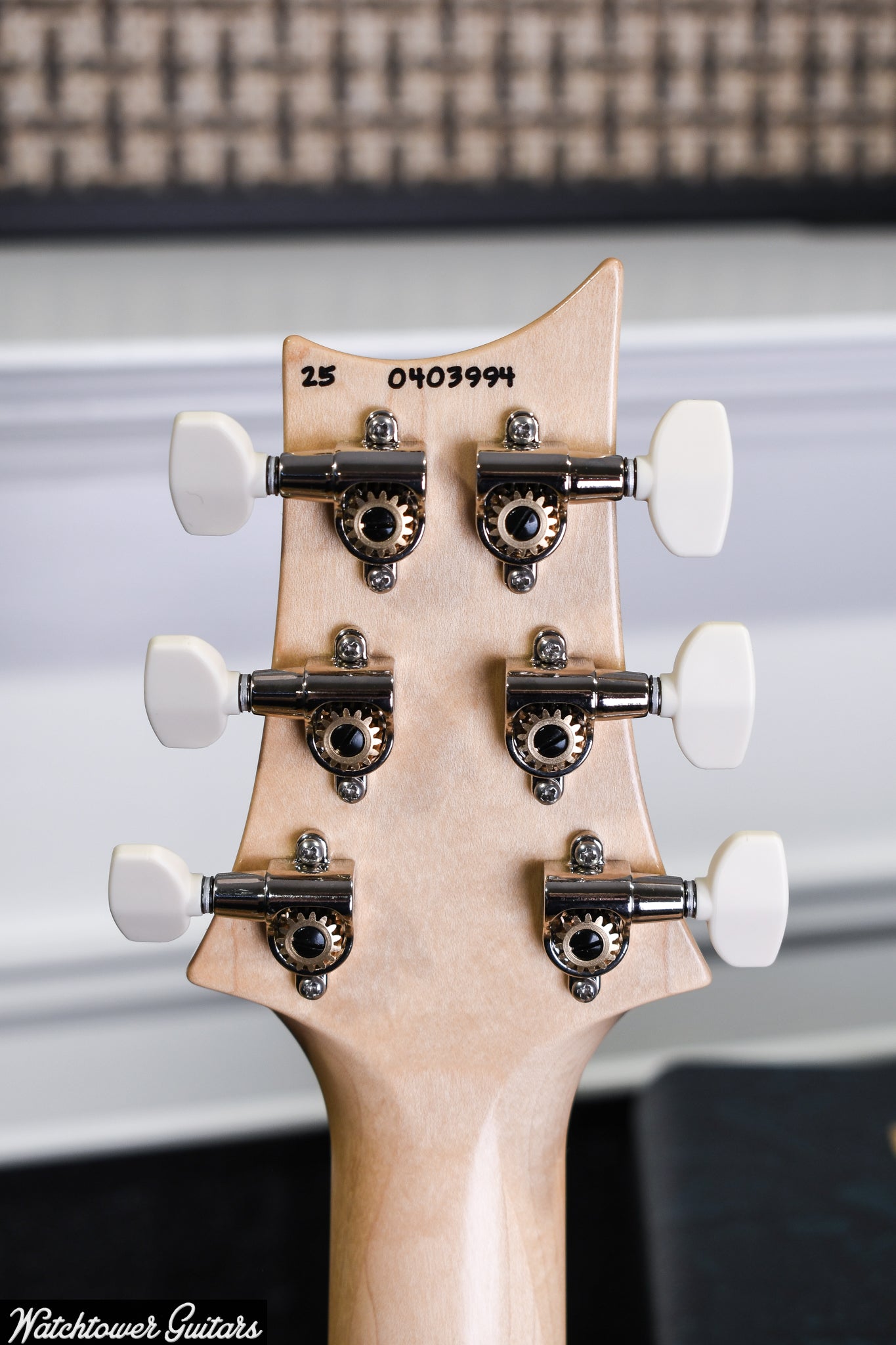 Paul Reed Smith PRS NF 53 White Doghair