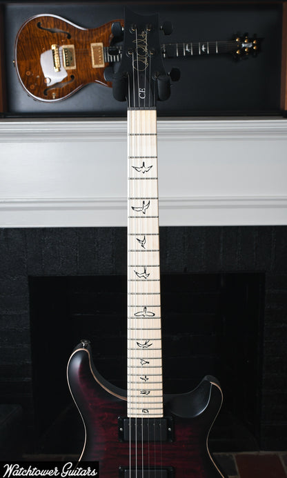 Paul Reed Smith PRS Dustie Waring CE 24 Hardtail Limited Waring Burst