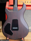 Paul Reed Smith PRS SE DGT Laurel Burl Limited Edition