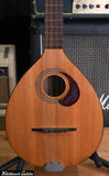 Cittern 8-string