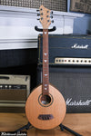 Olympia Walkabout Dulcimer