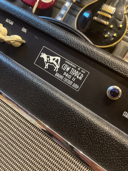 Bruno Cowtipper II 1x12 Combo Black Tolex