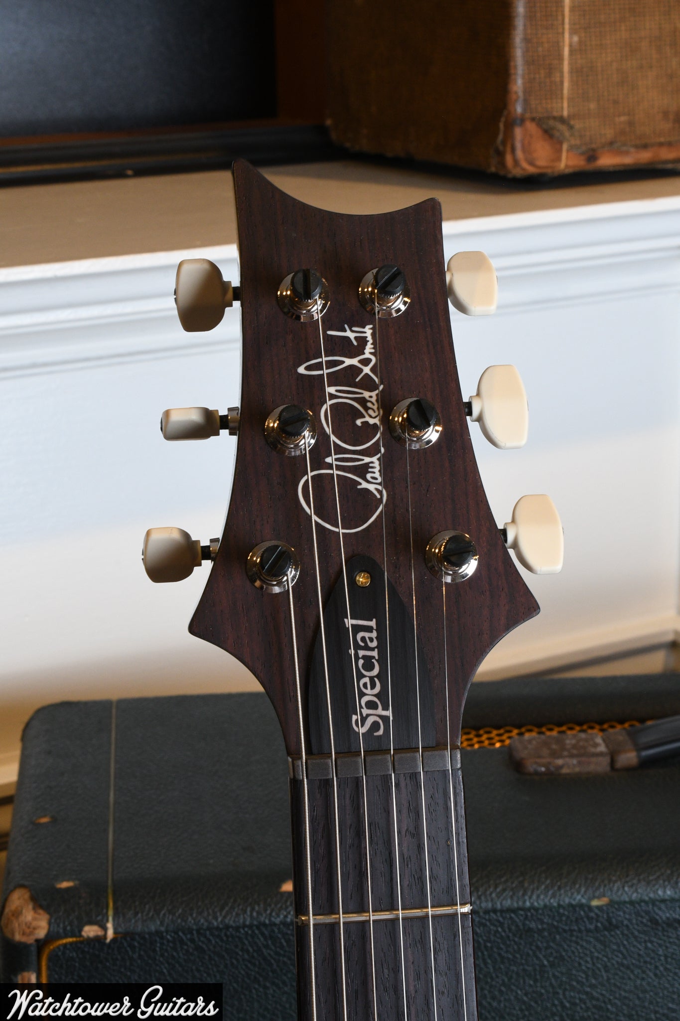 Paul Reed Smith PRS Special Semi Hollow 10 Top Purple Mist
