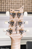 Paul Reed Smith PRS DGT Signature 10 Top Quilt Brazilian Board/Maple Neck Wood Library Purple Mist