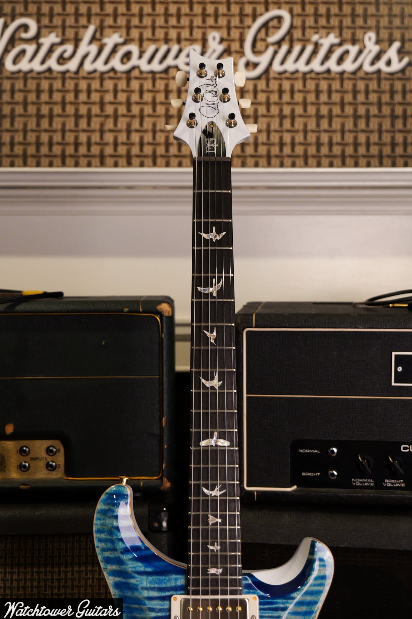 Paul Reed Smith PRS Semi Hollow 10 Top DGT Sprayer's Choice Faded Whale Blue & Pearl Metallic Back