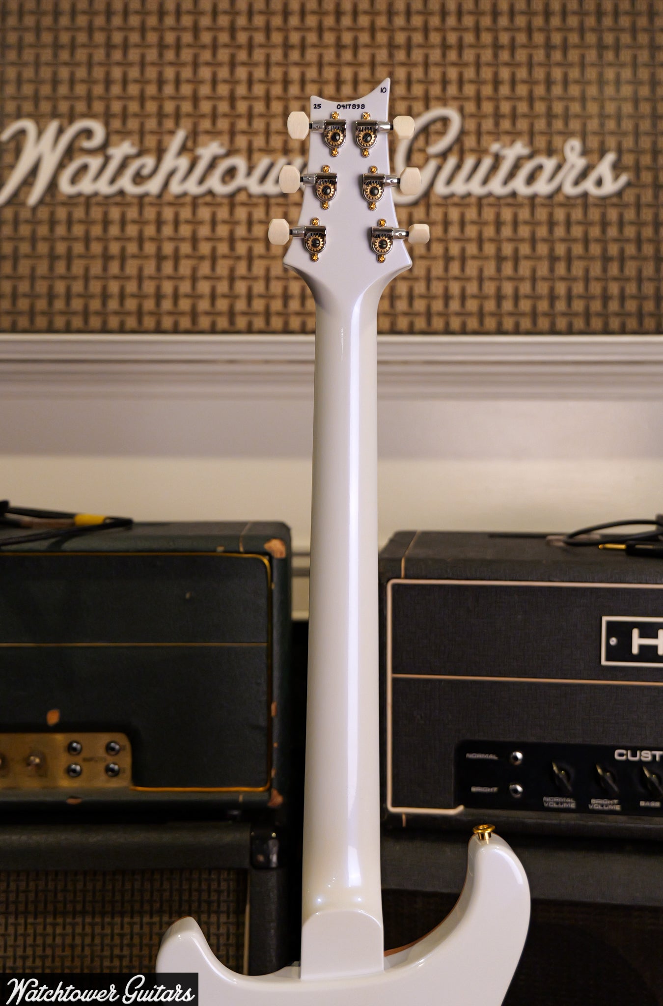 Paul Reed Smith PRS Semi Hollow 10 Top DGT Sprayer's Choice Faded Whale Blue & Pearl Metallic Back