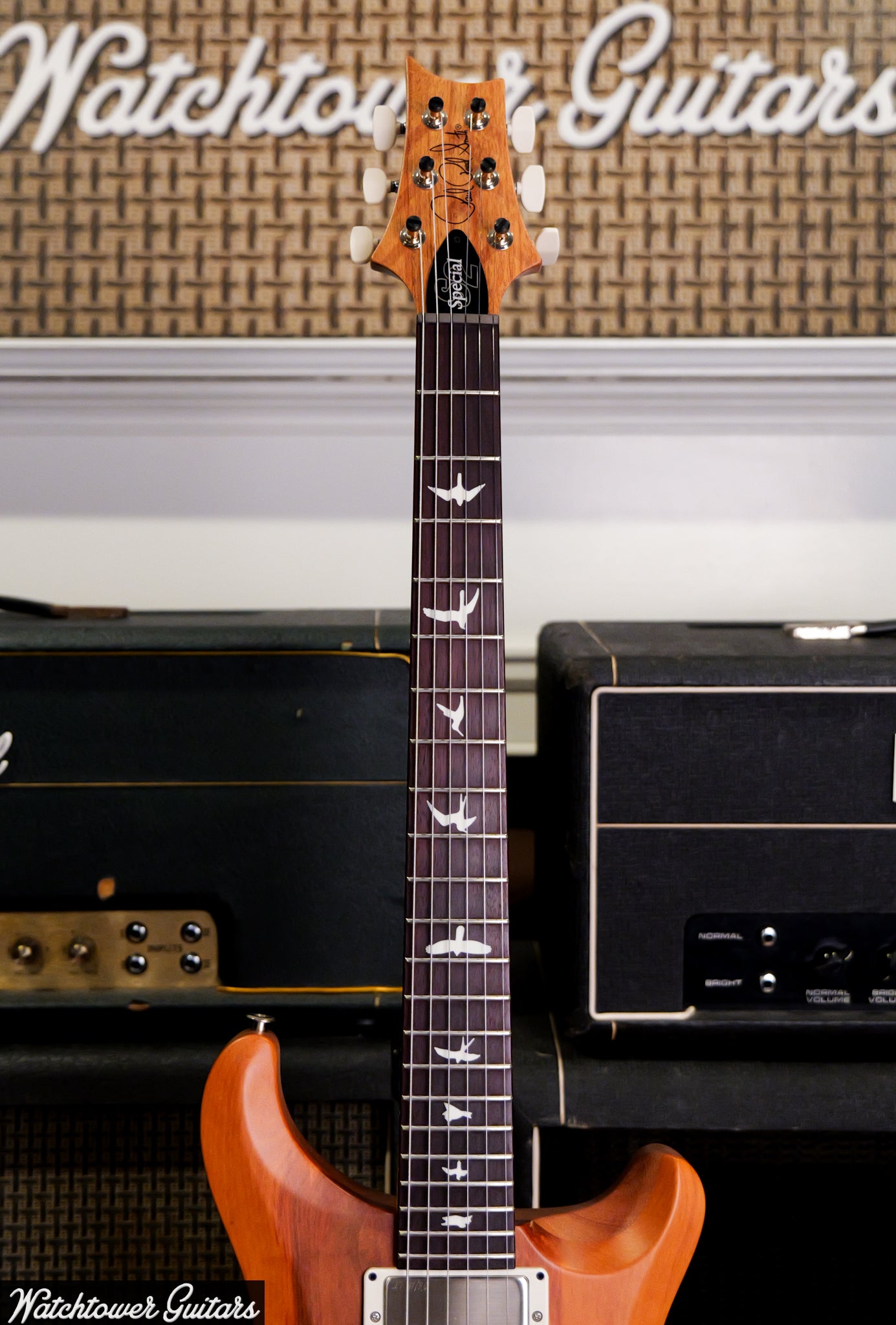 Paul Reed Smith PRS S2 Special Semi-Hollow Reclaimed Limited Edition
