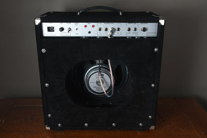 2019 Amplified Nation Wonderland Overdrive 50 Watt 1x12 Combo