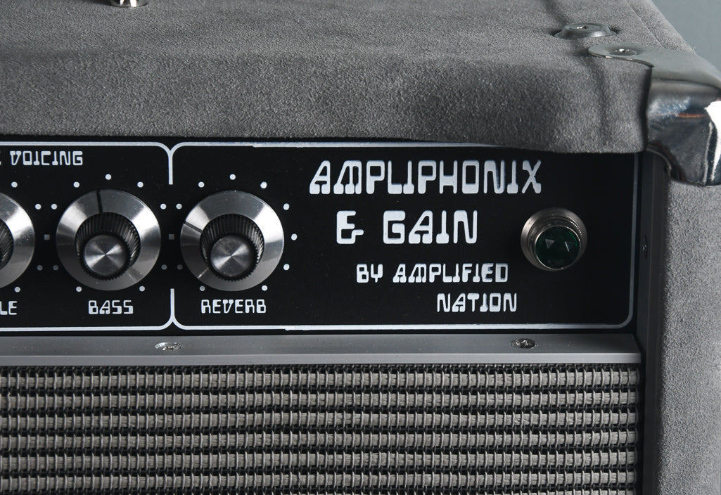 2019 Amplified Nation Ampliphonix & Gain 50 Watt Head