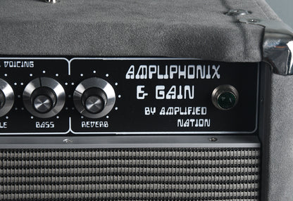2019 Amplified Nation Ampliphonix & Gain 50 Watt Head