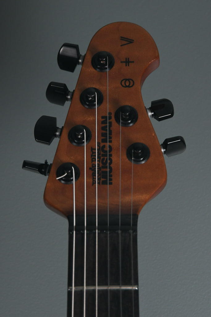 2019 Ernie Ball Music Man St. Vincent Signature HH Charcoal Sparkle