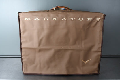 Magnatone Panoramic Stereo 2x10 Combo Vintage Brown
