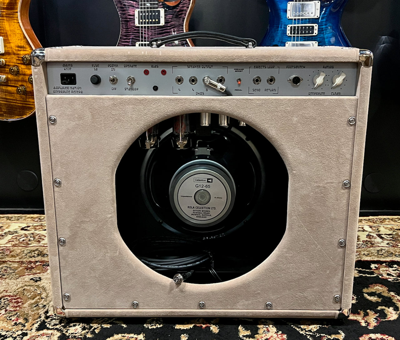 2022 Amplified Nation Overdrive Reverb 50 Watt 1x12 Combo Dogwood Suede