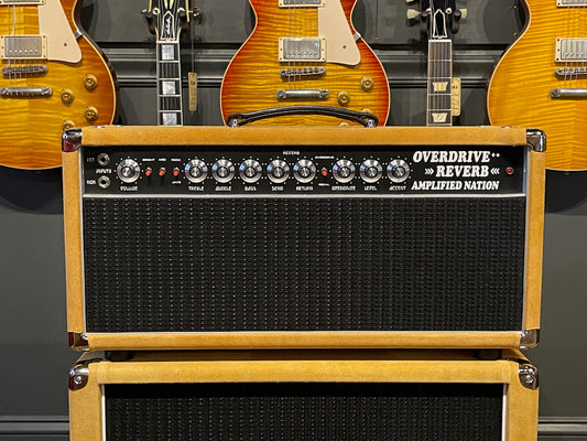 Amplified Nation Overdrive Reverb 50 Watt Head & 1x12 Cabinet Buckskin Suede/Black Grill