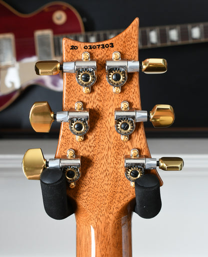 2020 Paul Reed Smith PRS Custom 22 Copperhead Artist Package